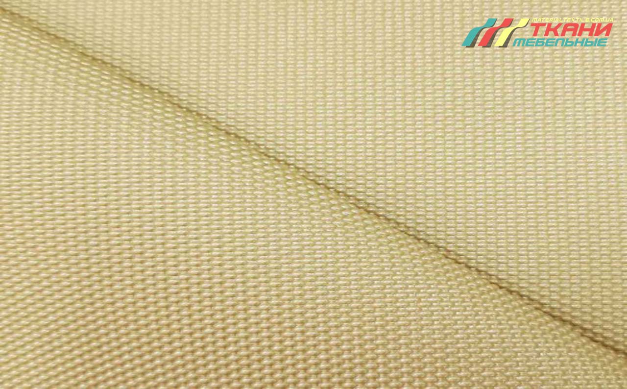 Fendi B003 Gold