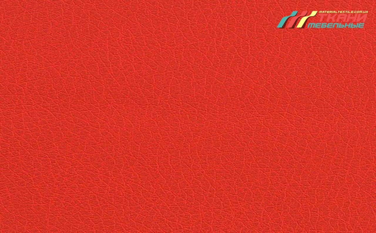 Zeus Deluxe Red